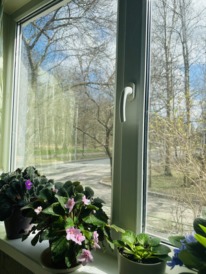 Продам однокомнатную (1-комн.) квартиру, Козлова ул, 23к1, Санкт-Петербург г