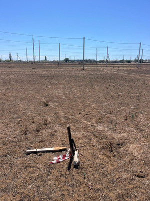 Продам участок 600 соток, Фермерское хоз., Николаевка пгт, 0 км от города