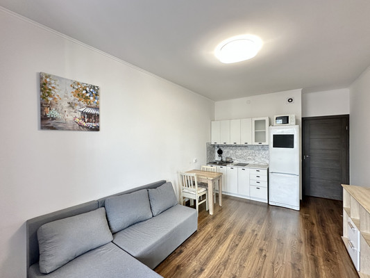 Продам однокомнатную (1-комн.) квартиру, Арцеуловская аллея, 21, Санкт-Петербург г