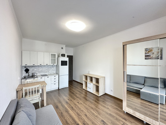 Продам однокомнатную (1-комн.) квартиру, Арцеуловская аллея, 21, Санкт-Петербург г