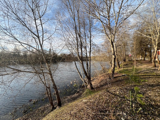 Продам дом, Институт ул, 38, Большие Вязёмы рп, 0 км от города