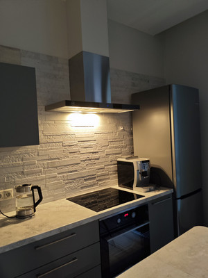 Сдам однокомнатную (1-комн.) квартиру, Петровский пр-кт, 24к1, Санкт-Петербург г