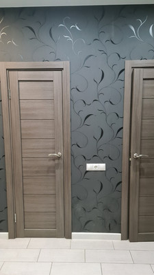 Сдам однокомнатную (1-комн.) квартиру, Шевлякова ул, 2/24, Люберцы г