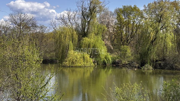 Продам дачу, Водник-2 тер. СНТ, 246, Абинск г, 0 км от города