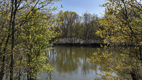 Продам дачу, Водник-2 тер. СНТ, 246, Абинск г, 0 км от города