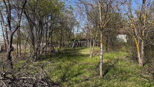 Продам дачу, Водник-2 тер. СНТ, 246, Абинск г, 0 км от города