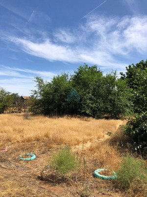 Продам участок 6 соток, Садоводство, Заря тер. СНТ, 0 км от города