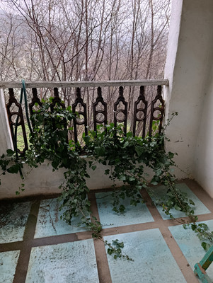 Продам дом, Салют снт, 17, Доброе с, 0 км от города