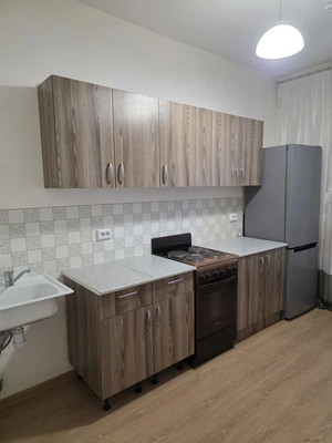 Продам однокомнатную (1-комн.) квартиру, Капральская ул, 15, Новое Девяткино д