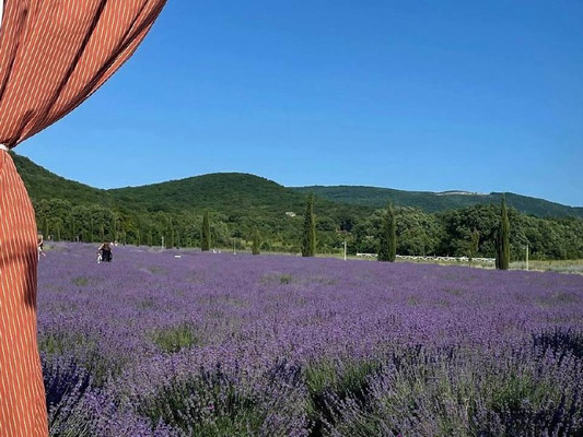 Продам участок 4 соток, Фермерское хоз., Ленинский Путь х, 0 км от города