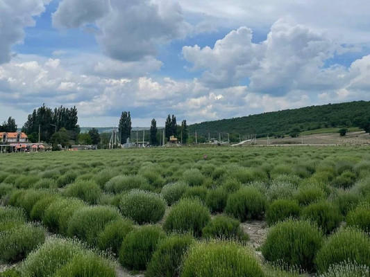 Продам участок 4 соток, Фермерское хоз., Ленинский Путь х, 0 км от города