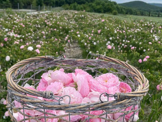 Продам участок 4 соток, Фермерское хоз., Ленинский Путь х, 0 км от города