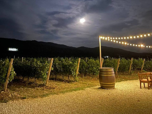 Продам участок 4 соток, Фермерское хоз., Ленинский Путь х, 0 км от города