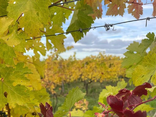 Продам участок 4 соток, Фермерское хоз., Ленинский Путь х, 0 км от города