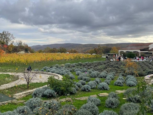 Продам участок 4 соток, Фермерское хоз., Ленинский Путь х, 0 км от города