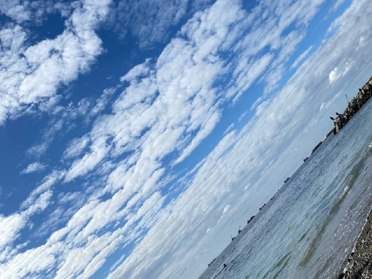 Продам участок 4 соток, Фермерское хоз., Ленинский Путь х, 0 км от города