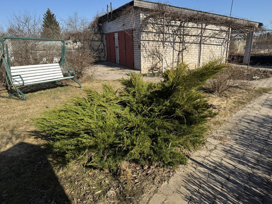 Продам дом, Парковая ул, 8А, Борки д, 0 км от города