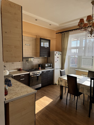 Продам дом, Парковая ул, 8А, Борки д, 0 км от города