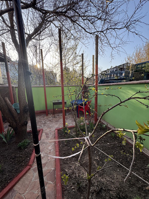 Сдам дом, Фруктовый пер, 24, Симферополь г, 0 км от города