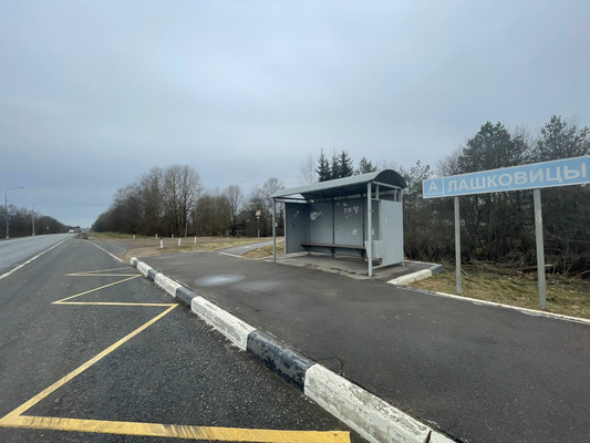 Продам участок 20 соток, ИЖС, Большие Лашковицы д, 0 км от города