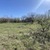 Продам участок 10 соток, Фермерское хоз., Радуга тер. СПК, 0 км от города
