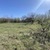 Продам участок 10 соток, Фермерское хоз., Радуга тер. СПК, 0 км от города