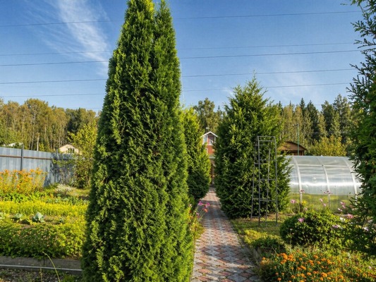 Продам дом, СПК Пахра тер, Ожигово д, 0 км от города