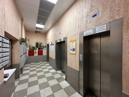 Продам однокомнатную (1-комн.) квартиру, Есенина ул, 1к1, Санкт-Петербург г