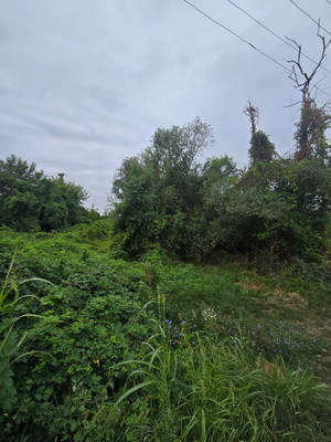 Продам участок 4,7 соток, Фермерское хоз., Коммунальник снт, 0 км от города