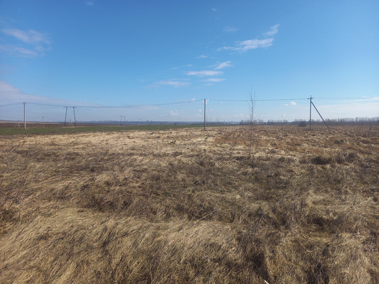 Продам участок 9,98 соток, ИЖС, Рожок д, 0 км от города