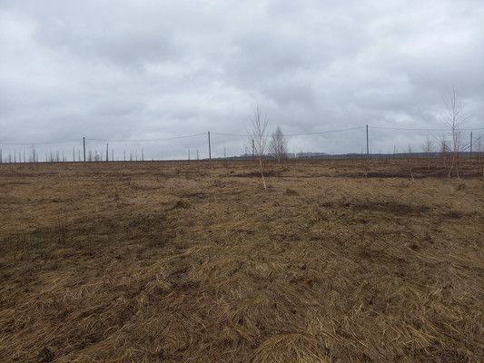Продам участок 10,29 соток, ИЖС, Рожок д, 0 км от города