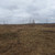 Продам участок 10,29 соток, ИЖС, Рожок д, 0 км от города