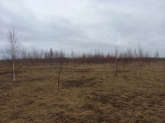 Продам участок 8,78 соток, ИЖС, Рожок д, 0 км от города