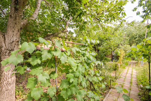 Продам дом, Дон сад, Ростов-на-Дону г, 0 км от города