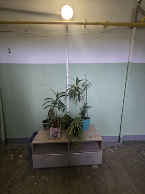 Продам двухкомнатную (2-комн.) квартиру, Подольская ул, 2, Северово д