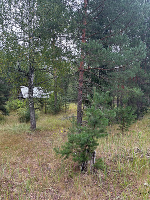 Продам коттедж, Нагорная ул, Фролищи рп, 0 км от города