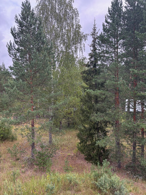 Продам коттедж, Нагорная ул, Фролищи рп, 0 км от города