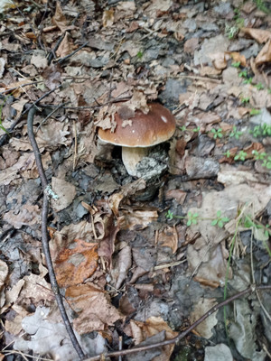 Продам коттедж, Нагорная ул, Фролищи рп, 0 км от города