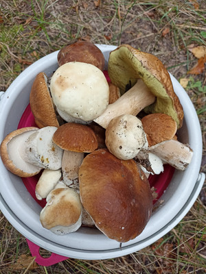 Продам коттедж, Нагорная ул, Фролищи рп, 0 км от города