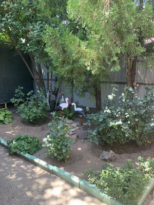 Продам дом, Железнодорожная ул, 14, Волгодонск г, 0 км от города