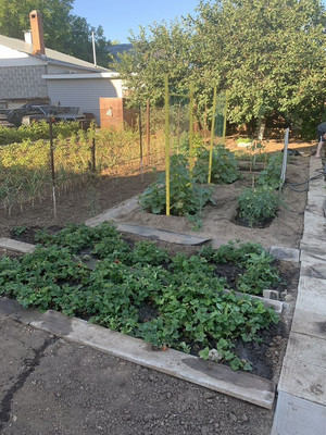 Продам дом, Железнодорожная ул, 14, Волгодонск г, 0 км от города