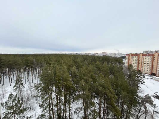 Сдам однокомнатную (1-комн.) квартиру, 9 Января ул, 304Б, Воронеж г