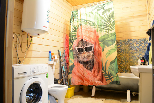 Продам дом, Слободская ул, 4А, Ропшинские поместья днп, 0 км от города