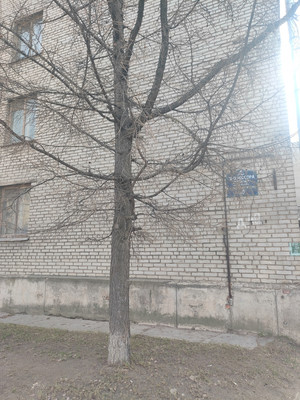 Продам комнату в 20-комн. квартире, Профессора Попова ул, 40А, Санкт-Петербург г