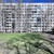 Сдам трехкомнатную (3-комн.) квартиру, Пролетарская ул, 60, Колпино г