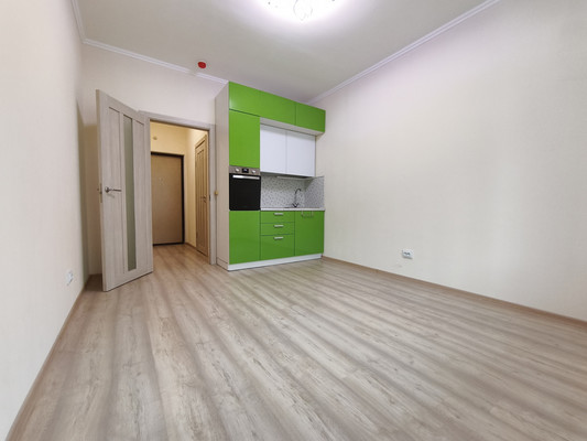 Продам однокомнатную (1-комн.) квартиру, Пражская ул, 4, Кудрово г