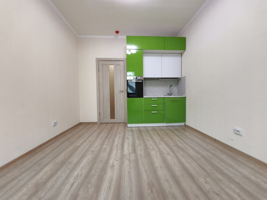 Продам однокомнатную (1-комн.) квартиру, Пражская ул, 4, Кудрово г