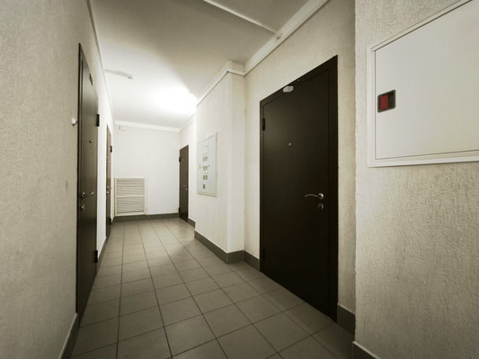 Продам однокомнатную (1-комн.) квартиру, Пражская ул, 4, Кудрово г