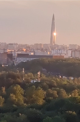 Продам однокомнатную (1-комн.) квартиру, Композиторов ул, 12А, Санкт-Петербург г