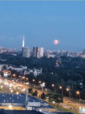 Продам однокомнатную (1-комн.) квартиру, Композиторов ул, 12А, Санкт-Петербург г